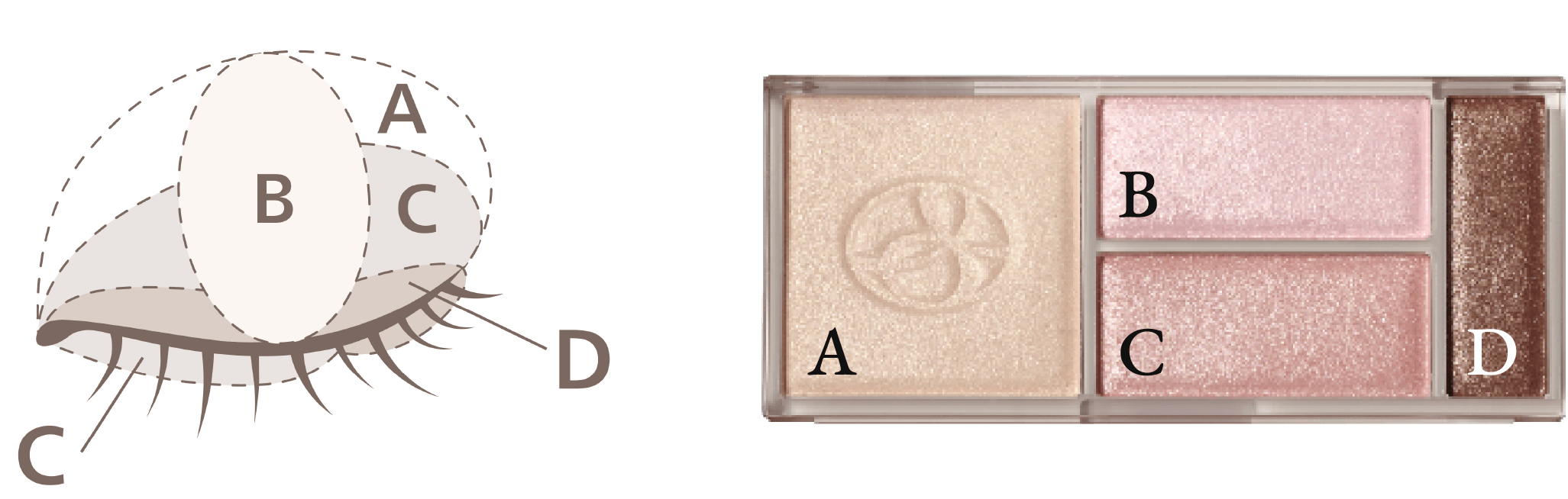 アイカラーのイメージ図