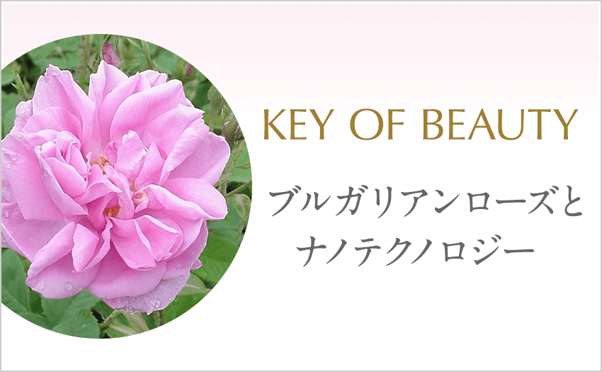 KEY of BEAUTY