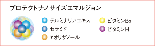 プロテクトナノサイズエマルジョン