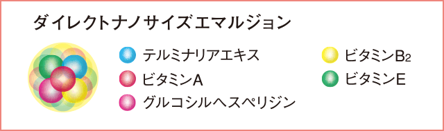 ダイレクトナノサイズエマルジョン