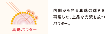 スペチアーレ 薬用パウダーセラム・スペチアーレ 薬用プレストパウダー 