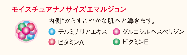 モイスチュアナノエマルジョン